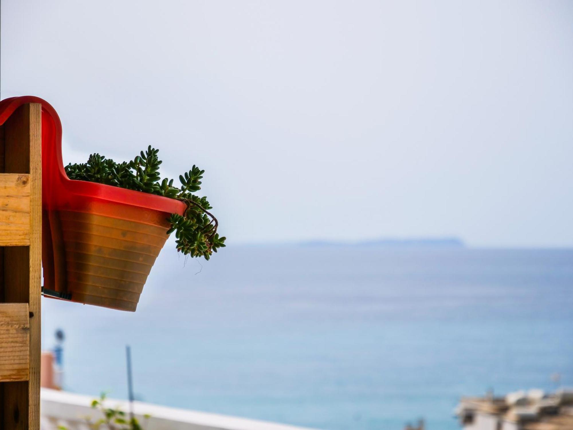 Appartement Sea Breeze
